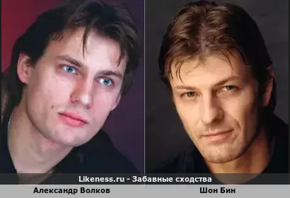 Александр Волков похож на Шона Бина
