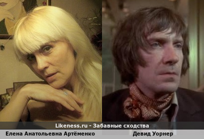 Елена Анатольевна Артёменко похожа на Девида Уорнера