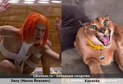 Лилу (милла Йовович) напоминает Каракала