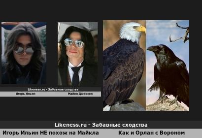 Игорь Ильин категорически НЕ похож на Майкла Джек похож на Как и Орлана с Вороном