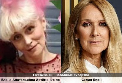 Елена Анатольевна Артёменко поэтесс похожа на Селин Дион