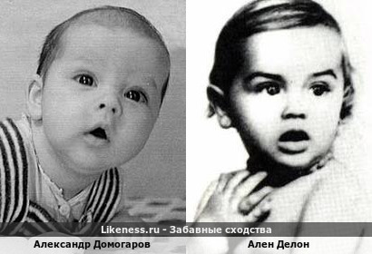 Александр Домогаров похож на Алена Делона