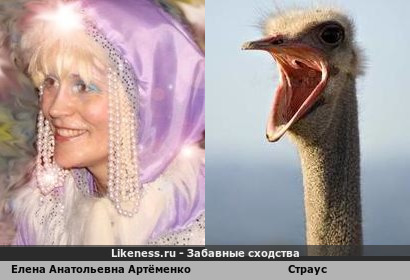 Елена Анатольевна Артёменко похожа на Страус