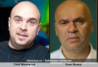 Глеб Жемчугов похож на Олега Волку