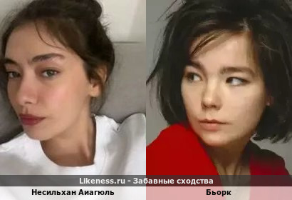 Несильхан Аиагюль похож на Бьорк