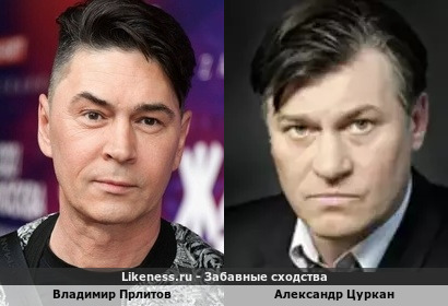Владимир Прлитов похож на Александра Цуркана