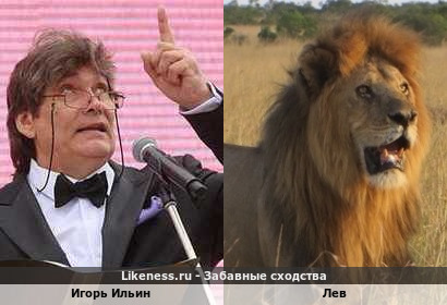 Игорь Ильин похож на Льва