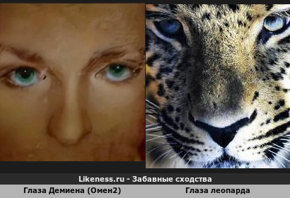 Глаза Демиена (Омен2) напоминают глаза леопарда