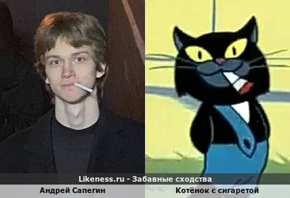 Андрей Сапегин похож на котёнка с сигаретой из ну погоди
