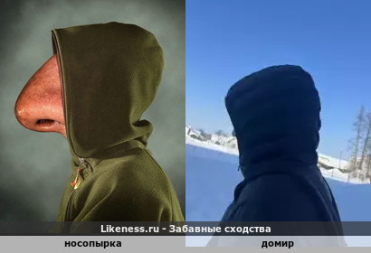 Носопырка напоминает Домира