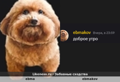 Ebma напоминает ebmakov