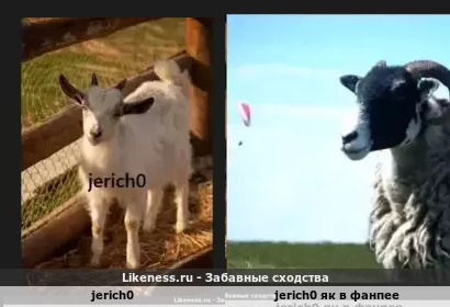 Jerich0 напоминает jerich0 яка в фанпее
