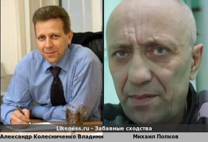 Александр Колесниченко Владимирович похож на Михаила Попкова