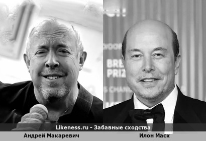 "Побритый" Илон Маск напомнил Андрея Макаревича
