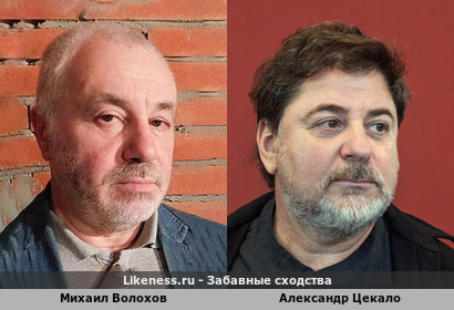 Михаил Волохов похож на Александра Цекало