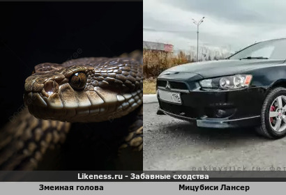 Змеиная голова напоминает Мицубиси Лансер
