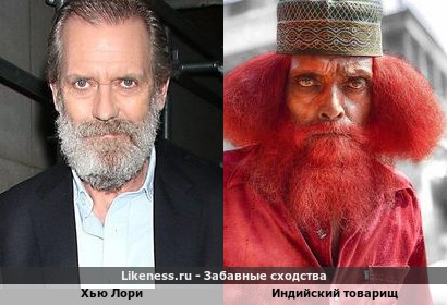 Хью Лори похож на Индийского Товарища
