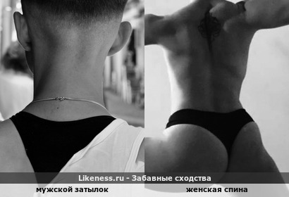 Мужской затылок напоминает женскую спину