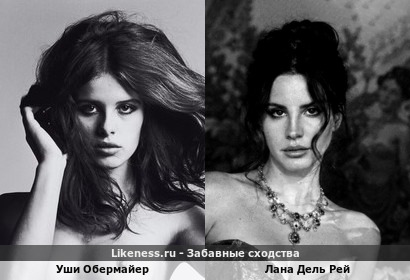 Уши Обермайер похож на Лану Дель Рей