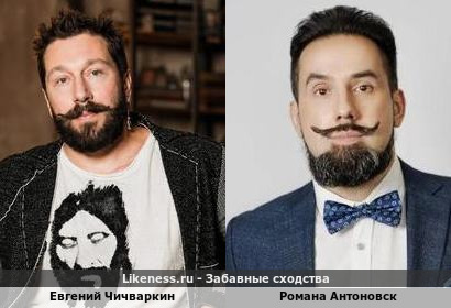 Евгений Чичваркин похож на Роману Антоновск