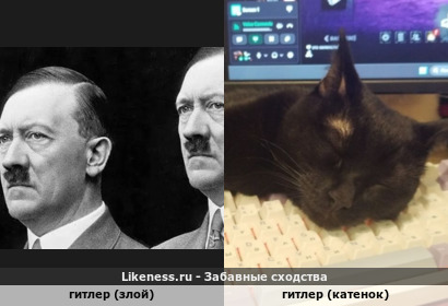 Гитлер (злой) похож на Гитлера (катенок)