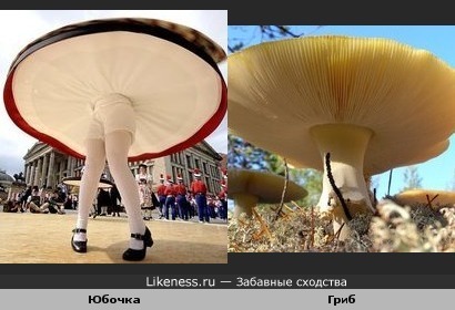 Юбка танцующей девушки напоминает гриб