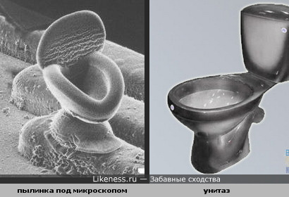 Пылинка под микроскопом похожа на унитаз