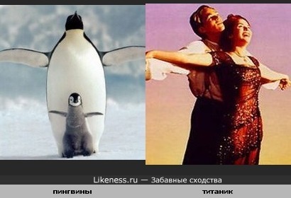 Пингвины похожи на героев &quot;Титаника&quot;