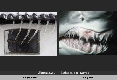 Сосульки похожи на зубы акулы