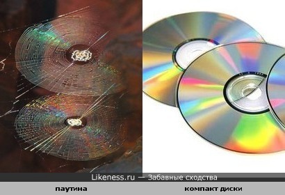 Паутина похожа на компакт-диски