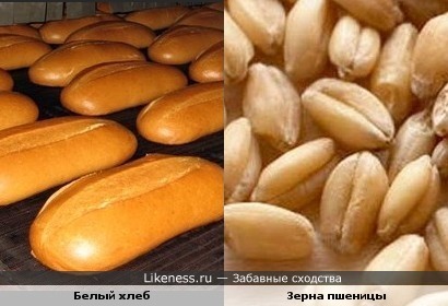 Булки хлеба похожи на пшеничные зёрна