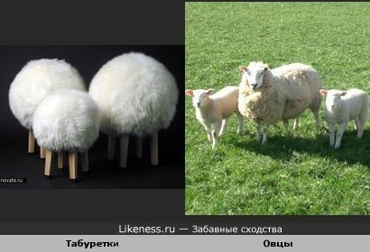 Табуретки-овцы