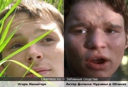 Актёр Фильма Муравьи в штанах похож на Игоря Ненайчука