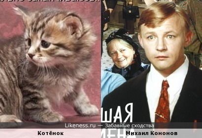 //img.likeness.ru/blog/topic/75933/kotyonok_chem-to_napomnil_mikhaila_kononova.php