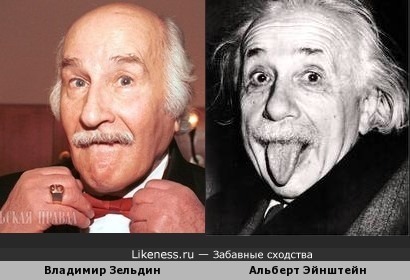 Владимир Зельдин похож на Альберта Энштейна
