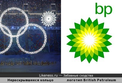 Во всем виновата British Petroleum
