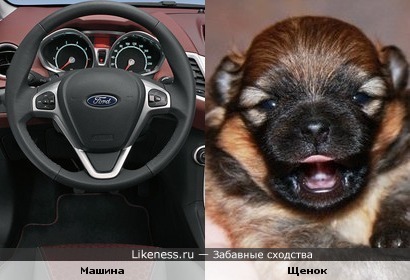Машина и щенок могут улыбаться!