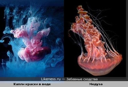Капли краски в воде похожи на медузу.