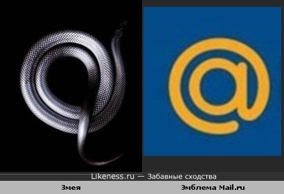 Змея похожа на эмблему Mail.ru.