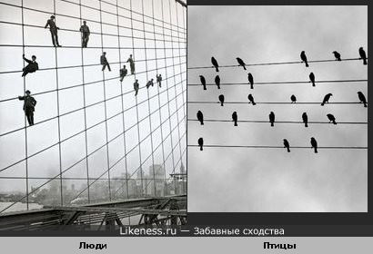 Люди на мосту, как птицы на проводах.