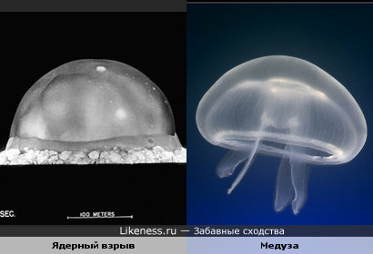 Ядерный взрыв похож на медузу.