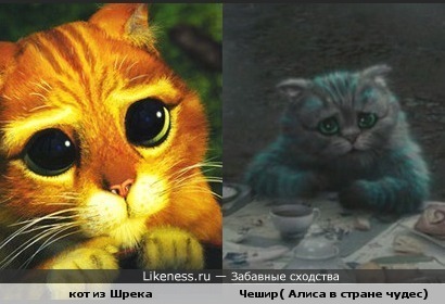 глаза кота из Шрека схожи с глазами Чешира ))