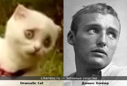 Dramatic Cat и Деннис Хоппер