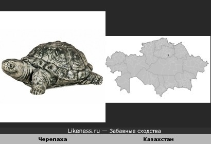 Черепаха и контур Казахстана