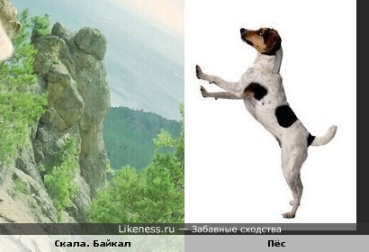скала на Байкале и пёс