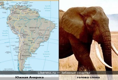 Южная Америка похожа на голову слона