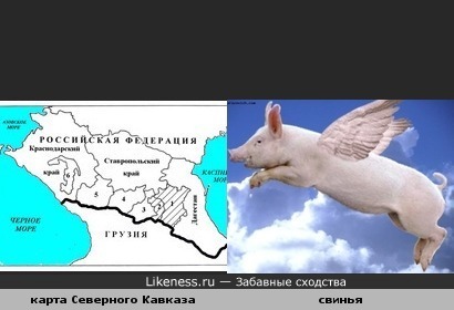 карта Северного Кавказа похожа на свинью