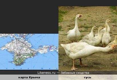 карта Крыма похожа на гуся