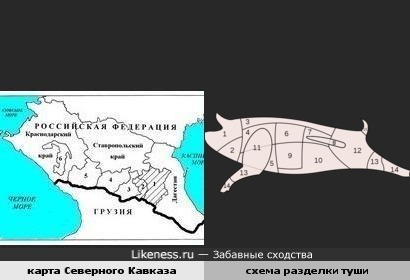 карта Северного Кавказа и схема разделки туши похожи