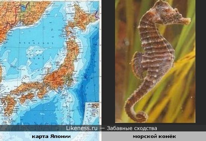 карта Японии похожа на морского конька